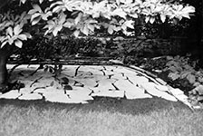 1972 backyard, back right
